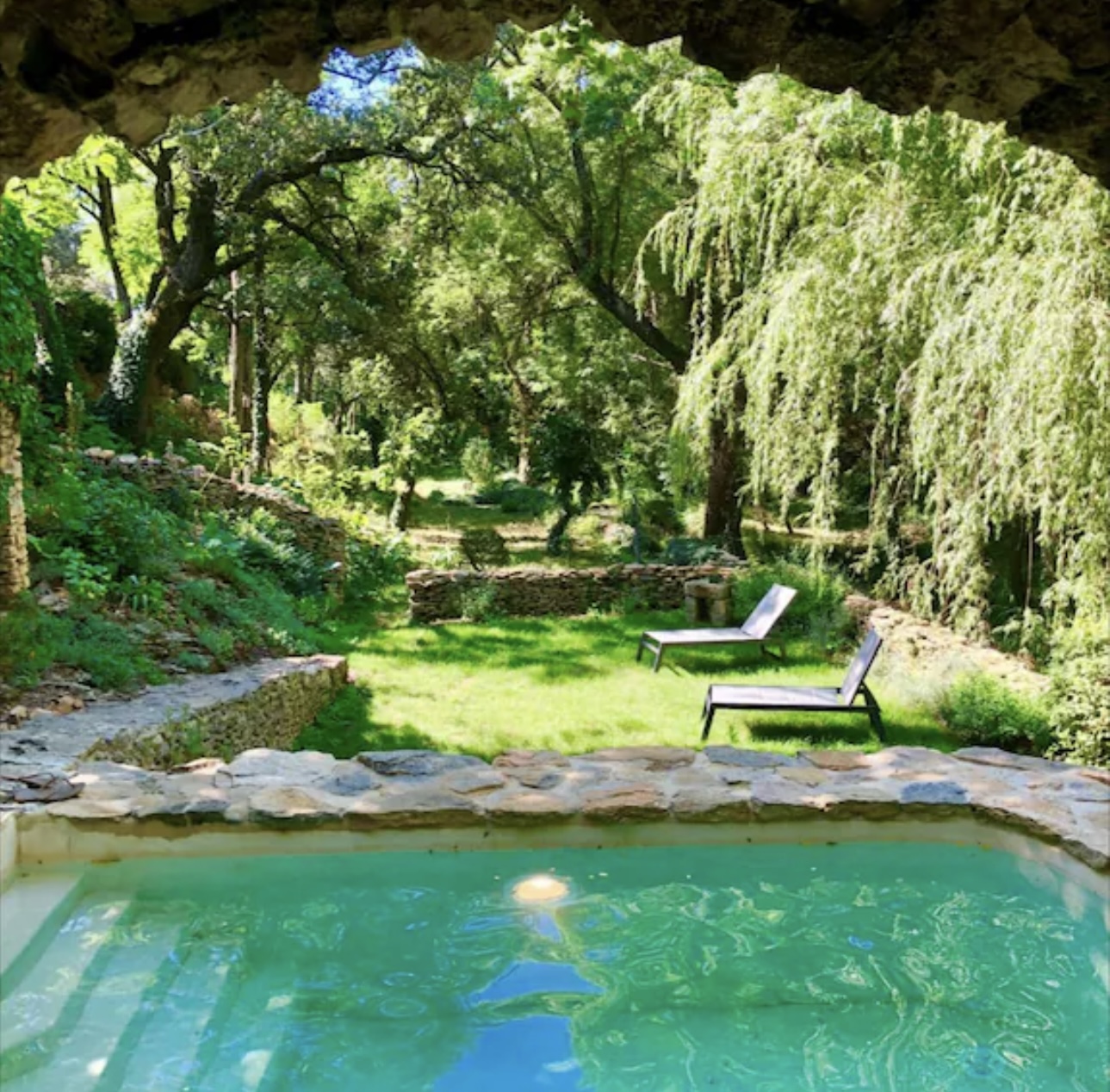 Pool and garden under the trees